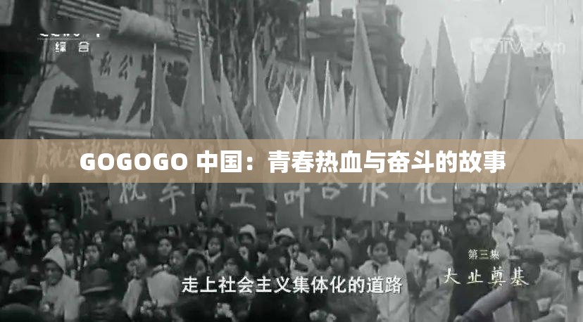 GOGOGO 中国：青春热血与奋斗的故事
