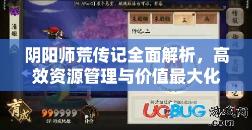 阴阳师荒传记全面解析，高效资源管理与价值最大化策略指南