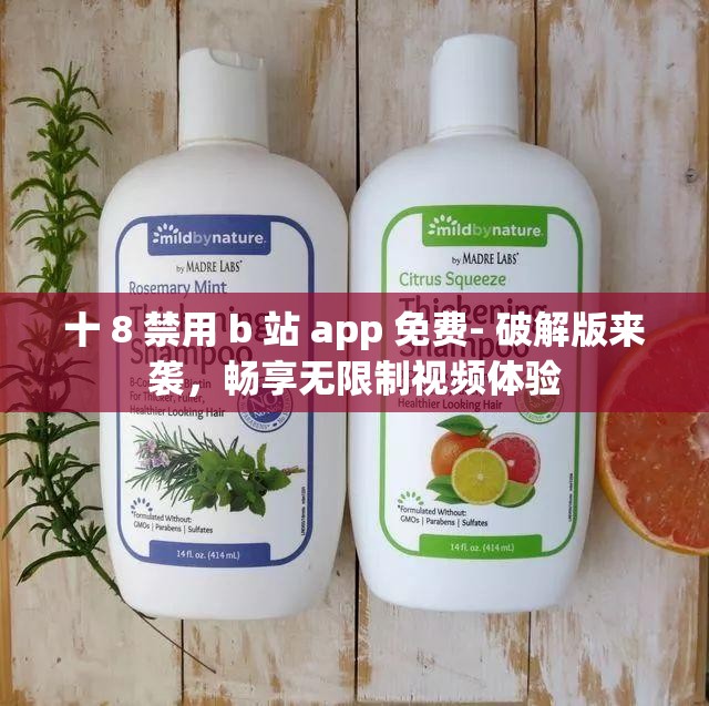 十 8 禁用 b 站 app 免费- 破解版来袭，畅享无限制视频体验