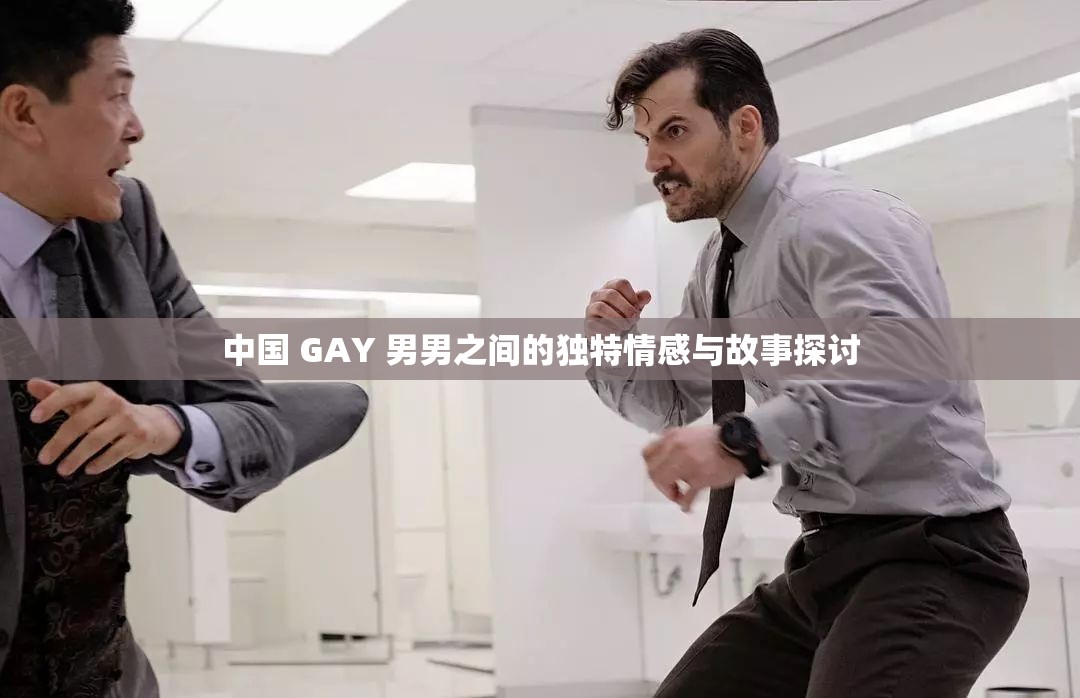 中国 GAY 男男之间的独特情感与故事探讨