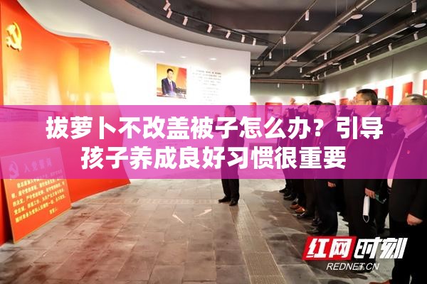 拔萝卜不改盖被子怎么办？引导孩子养成良好习惯很重要