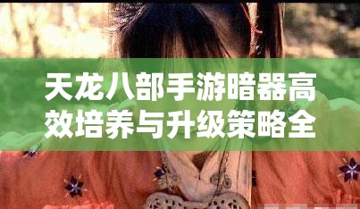 天龙八部手游暗器高效培养与升级策略全面解析攻略推荐