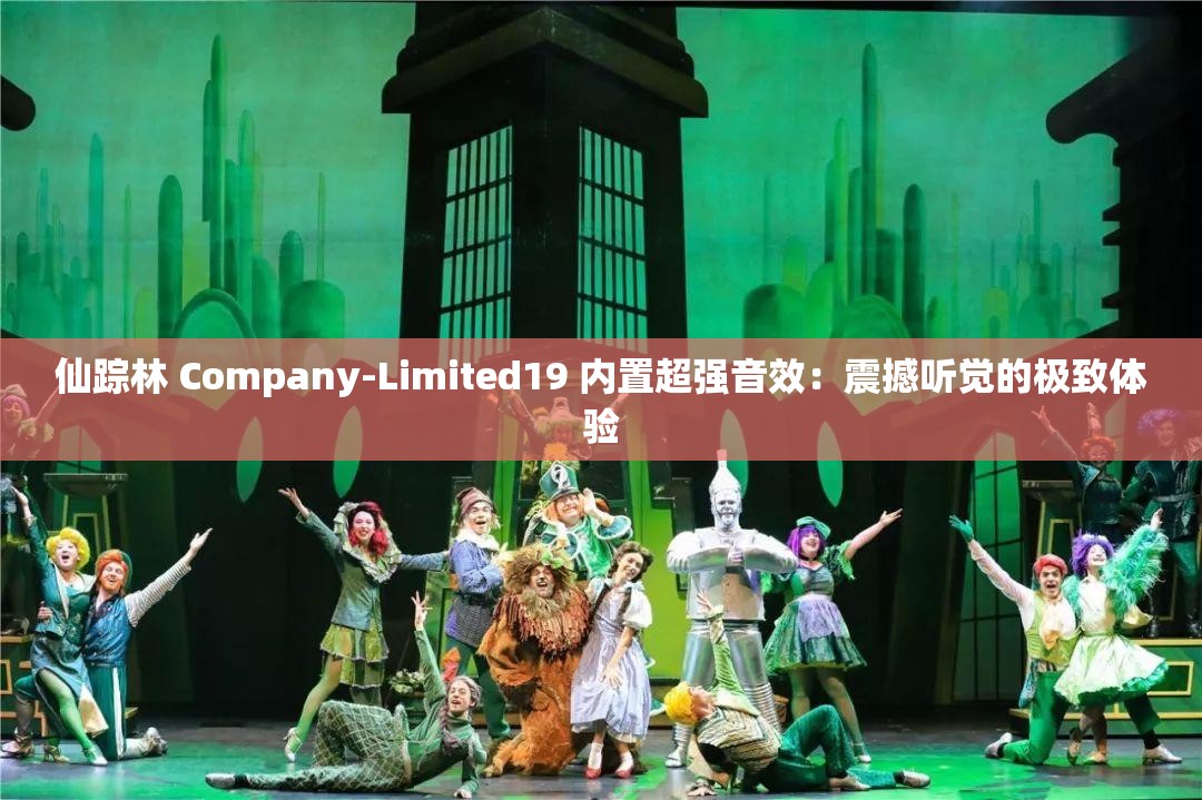 仙踪林 Company-Limited19 内置超强音效：震撼听觉的极致体验
