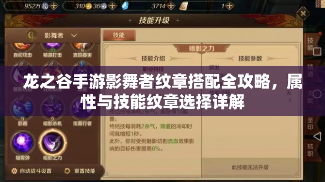 龙之谷手游影舞者纹章搭配全攻略，属性与技能纹章选择详解