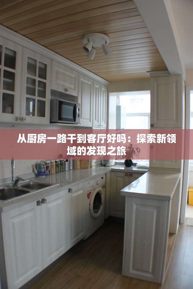从厨房一路干到客厅好吗：探索新领域的发现之旅