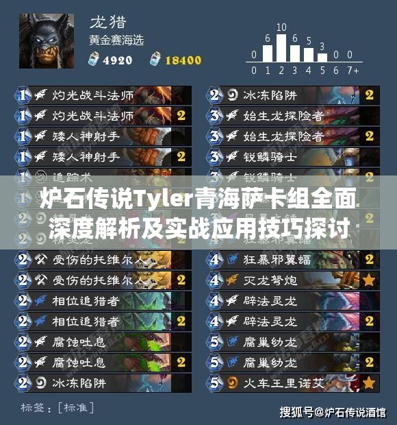 炉石传说Tyler青海萨卡组全面深度解析及实战应用技巧探讨