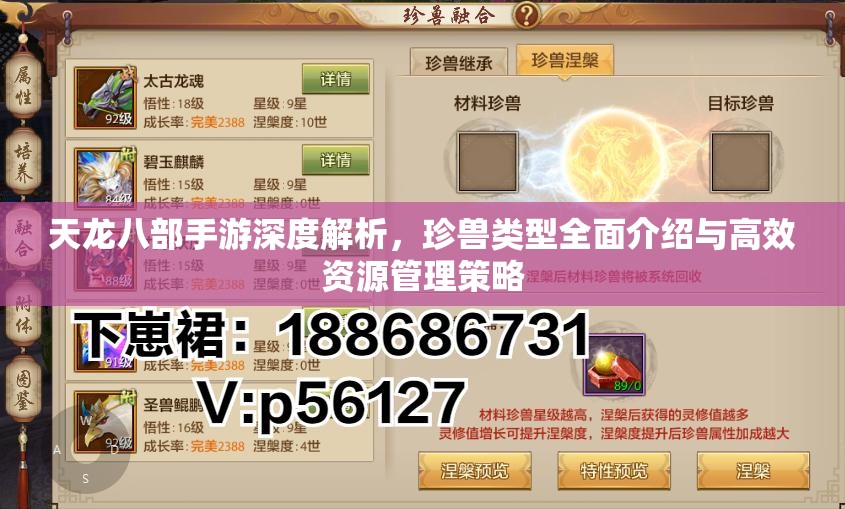 天龙八部手游深度解析，珍兽类型全面介绍与高效资源管理策略