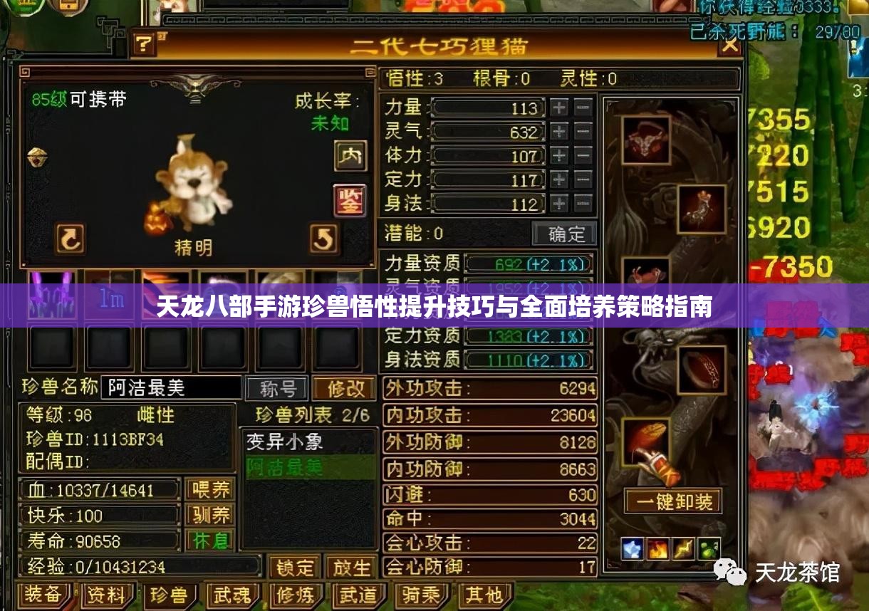 天龙八部手游珍兽悟性提升技巧与全面培养策略指南