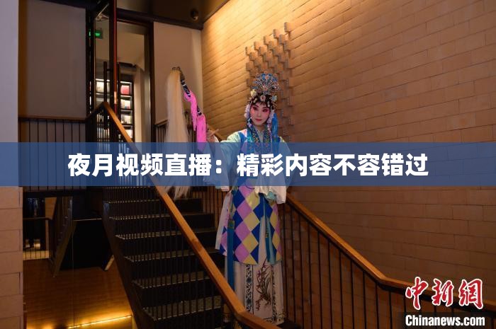 夜月视频直播：精彩内容不容错过