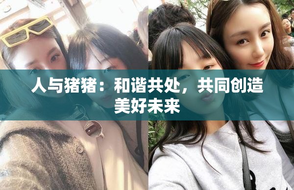 人与猪猪：和谐共处，共同创造美好未来