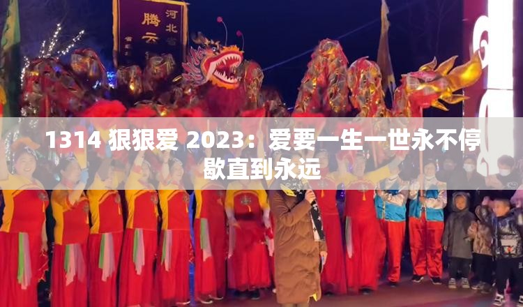 1314 狠狠爱 2023：爱要一生一世永不停歇直到永远