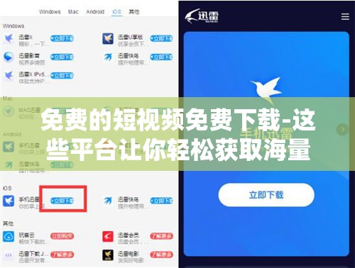 免费的短视频免费下载-这些平台让你轻松获取海量资源