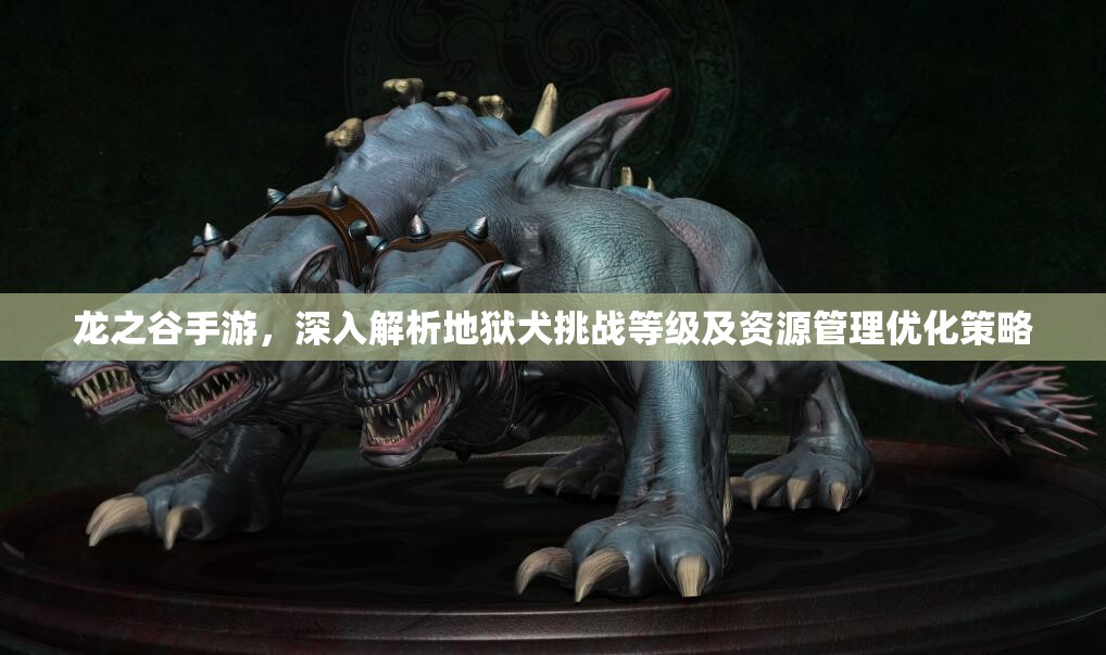 龙之谷手游，深入解析地狱犬挑战等级及资源管理优化策略