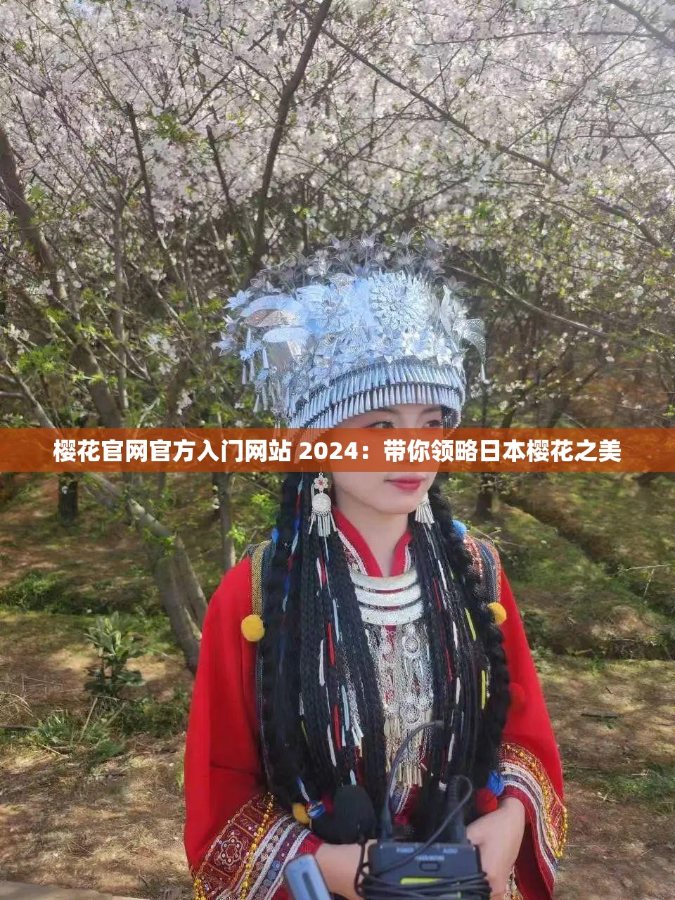 樱花官网官方入门网站 2024：带你领略日本樱花之美