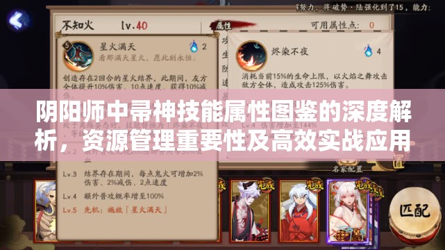 阴阳师中帚神技能属性图鉴的深度解析，资源管理重要性及高效实战应用策略