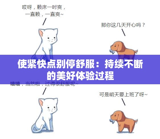 使紧快点别停舒服：持续不断的美好体验过程