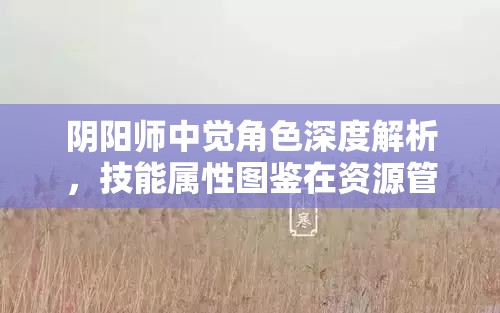 阴阳师中觉角色深度解析，技能属性图鉴在资源管理中的核心价值与高效运用策略