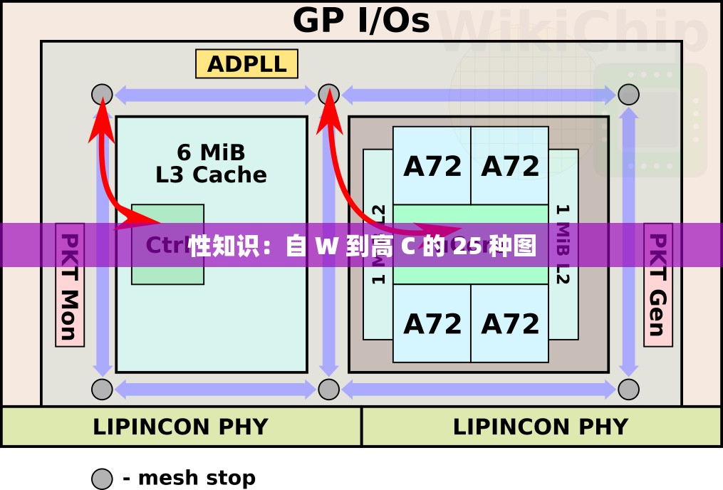 性知识:自 W 到高 C 的 25 种图 性知识:自 W 到高 C 的 25 种图