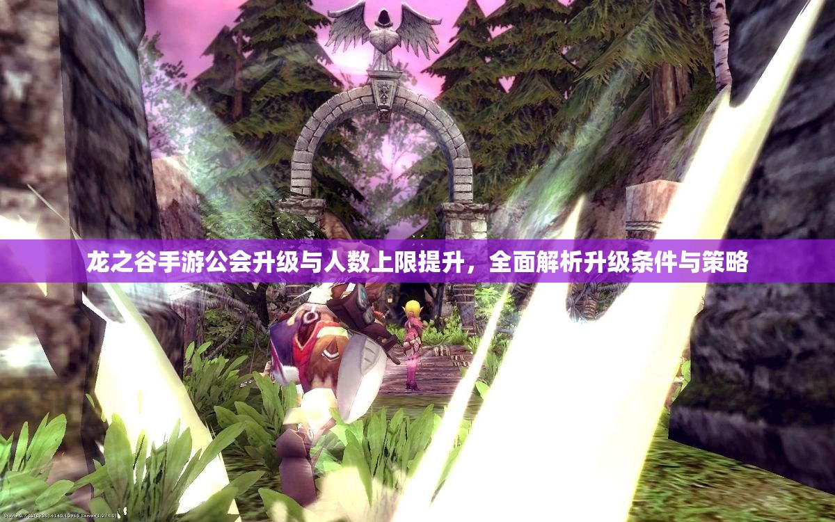 龙之谷手游公会升级与人数上限提升，全面解析升级条件与策略