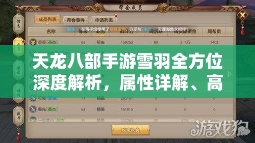 天龙八部手游雪羽全方位深度解析，属性详解、高效管理技巧及价值最大化策略