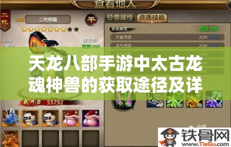 天龙八部手游中太古龙魂神兽的获取途径及详细方法解析