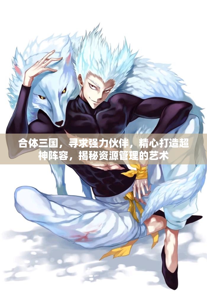合体三国，寻求强力伙伴，精心打造超神阵容，揭秘资源管理的艺术