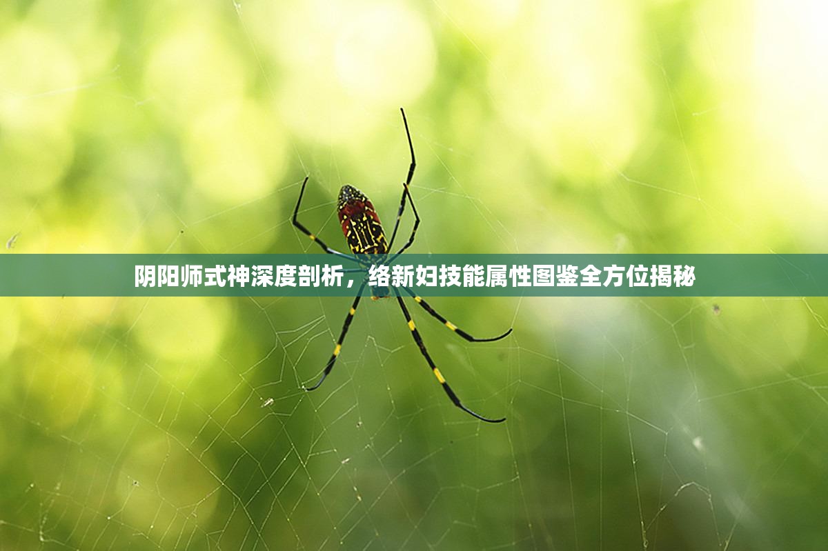 阴阳师式神深度剖析，络新妇技能属性图鉴全方位揭秘