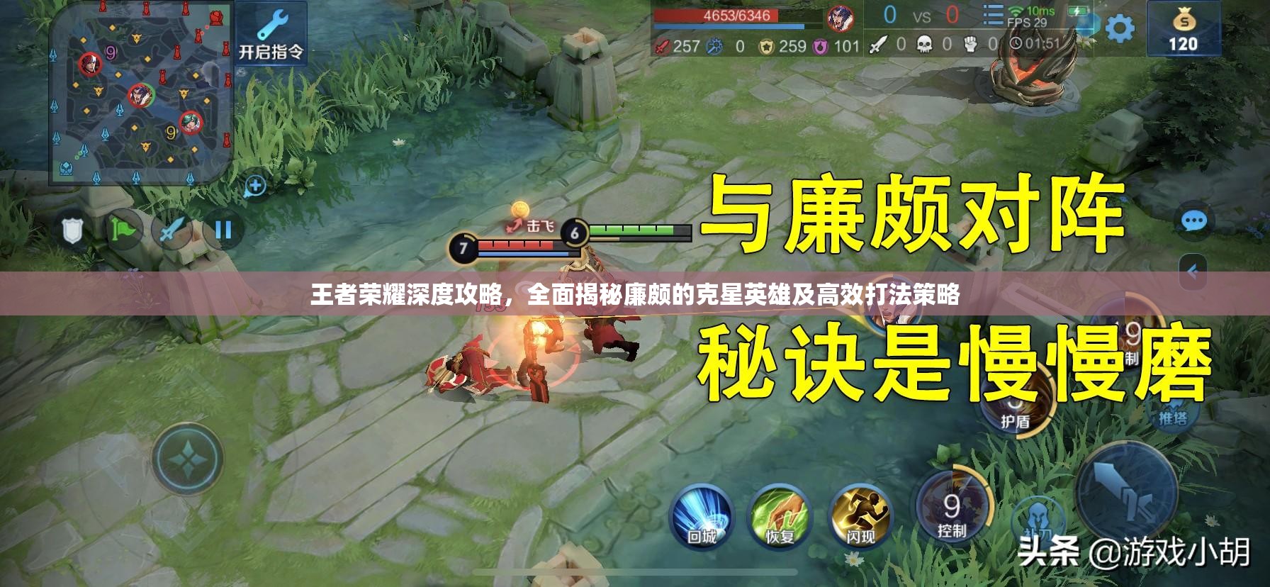 王者荣耀深度攻略，全面揭秘廉颇的克星英雄及高效打法策略