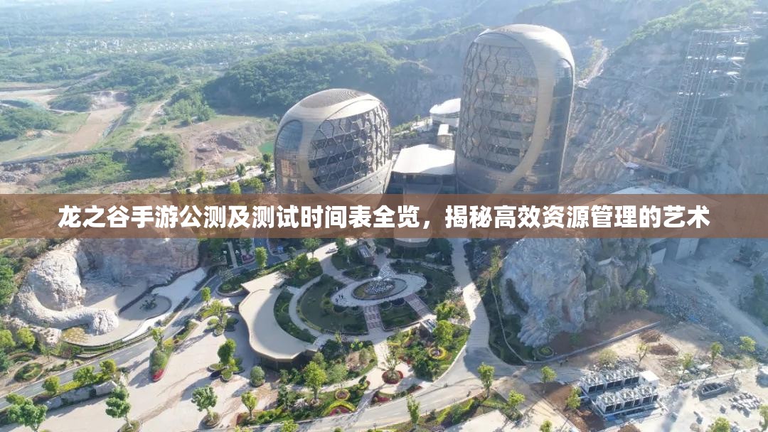 龙之谷手游公测及测试时间表全览，揭秘高效资源管理的艺术