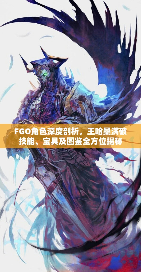 FGO角色深度剖析，王哈桑满破技能、宝具及图鉴全方位揭秘