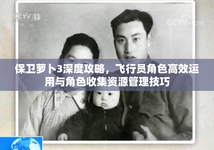 保卫萝卜3深度攻略，飞行员角色高效运用与角色收集资源管理技巧
