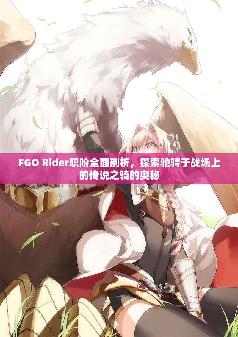 FGO Rider职阶全面剖析，探索驰骋于战场上的传说之骑的奥秘