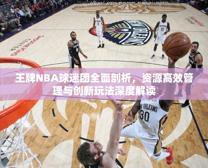 王牌NBA球迷团全面剖析，资源高效管理与创新玩法深度解读