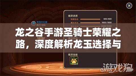 龙之谷手游圣骑士荣耀之路，深度解析龙玉选择与搭配攻略