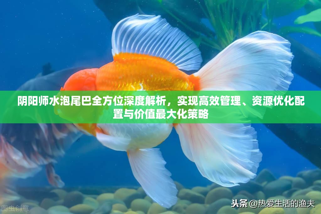 阴阳师水泡尾巴全方位深度解析，实现高效管理、资源优化配置与价值最大化策略