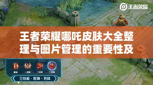 王者荣耀哪吒皮肤大全整理与图片管理的重要性及高效运用策略