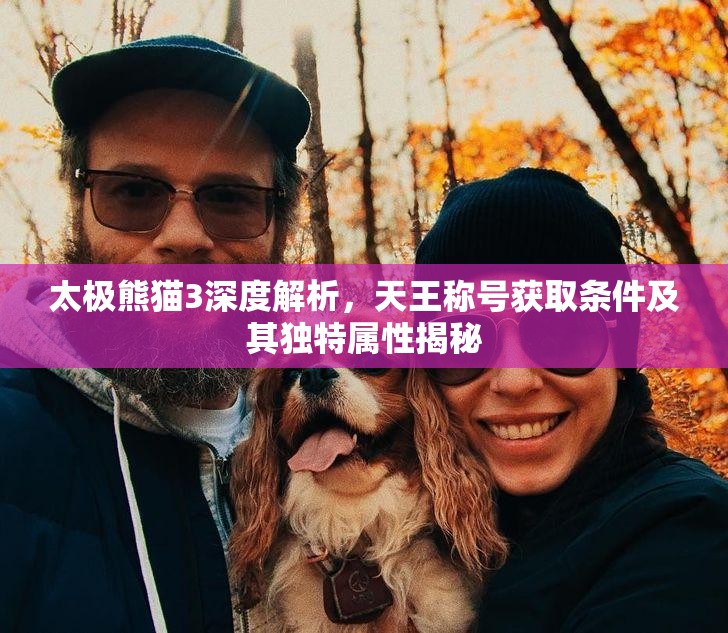 太极熊猫3深度解析，天王称号获取条件及其独特属性揭秘