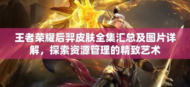王者荣耀后羿皮肤全集汇总及图片详解，探索资源管理的精致艺术