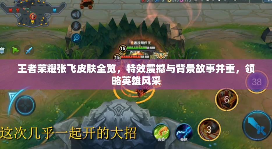 王者荣耀张飞皮肤全览，特效震撼与背景故事并重，领略英雄风采
