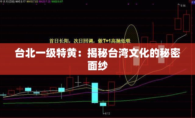 台北一级特黄：揭秘台湾文化的秘密面纱