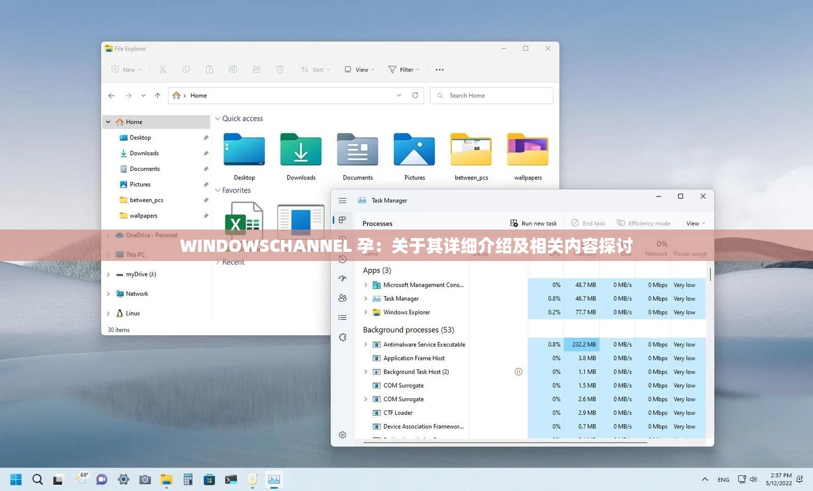 WINDOWSCHANNEL 孕：关于其详细介绍及相关内容探讨
