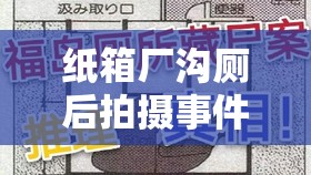 纸箱厂沟厕后拍摄事件引发的思考与警示