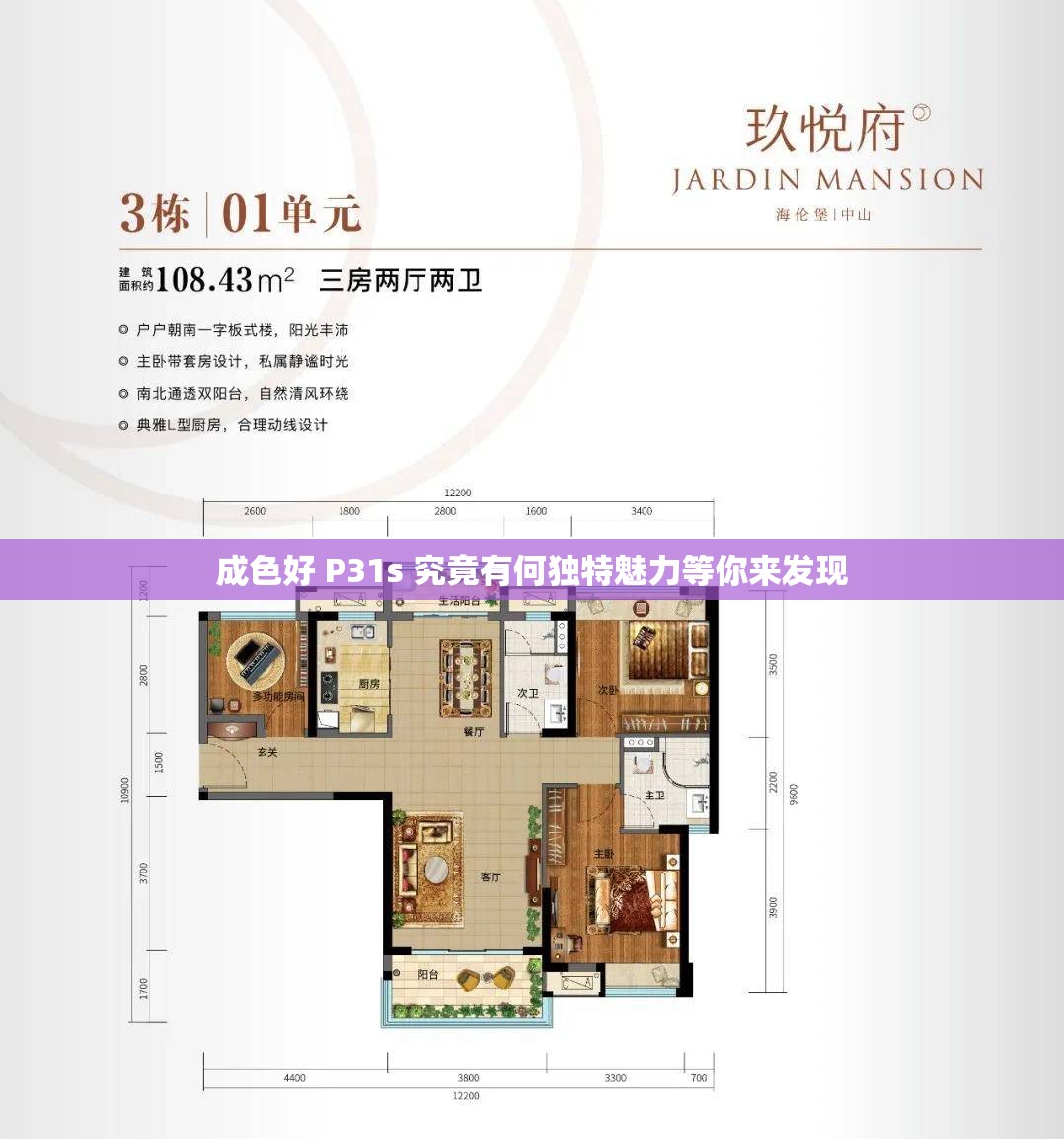 成色好 P31s 究竟有何独特魅力等你来发现