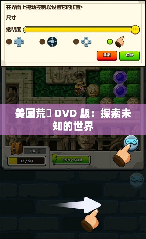 美国荒婬 D∨D 版：探索未知的世界