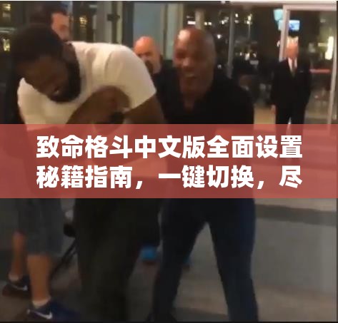 致命格斗中文版全面设置秘籍指南，一键切换，尽享流畅格斗盛宴体验