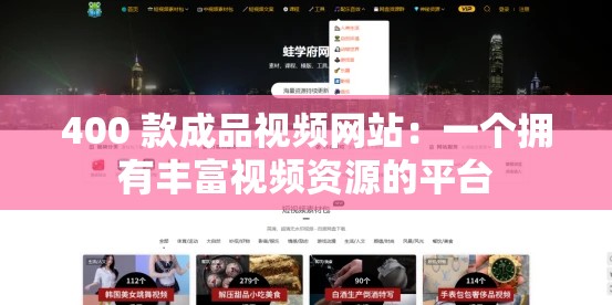 400 款成品视频网站：一个拥有丰富视频资源的平台
