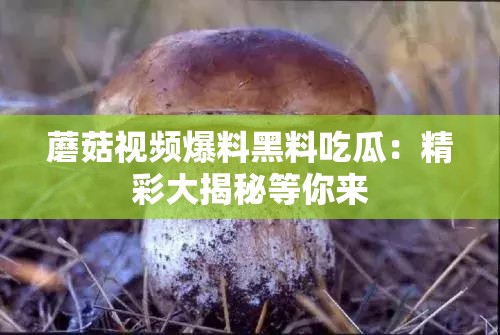 蘑菇视频爆料黑料吃瓜：精彩大揭秘等你来