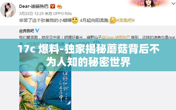 17c 爆料-独家揭秘蘑菇背后不为人知的秘密世界