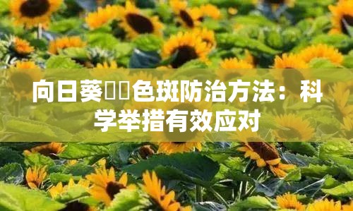 向日葵卍卍色斑防治方法：科学举措有效应对
