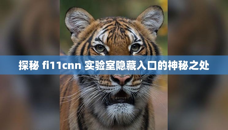 探秘 fi11cnn 实验室隐藏入口的神秘之处